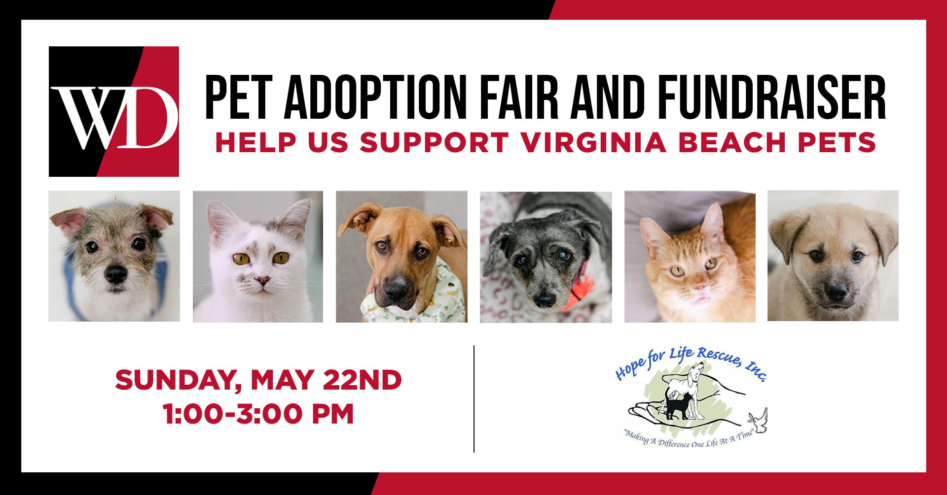 Pet Adoption Fair & Fundraiser