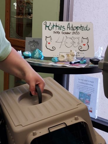 Kitty Kingdom’s 400th Adoption