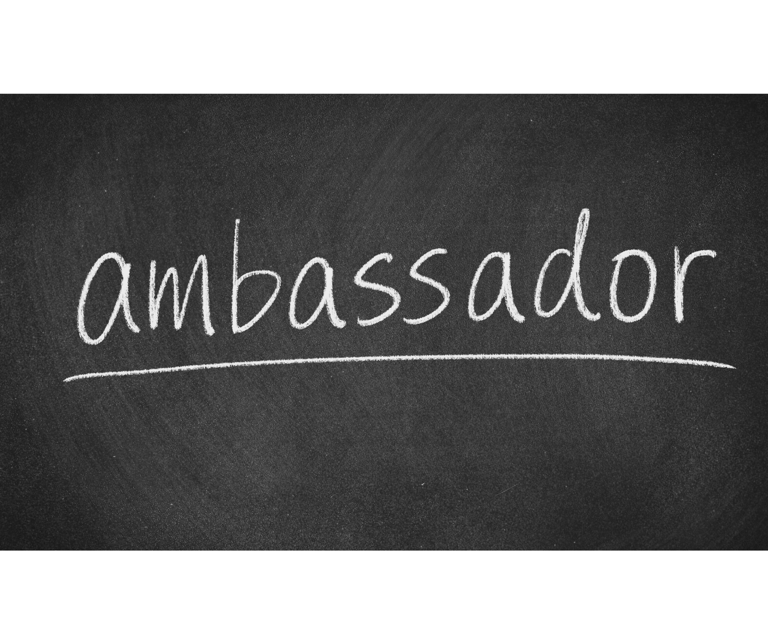 Reasons to Consider Becoming a Chamber Ambassador!