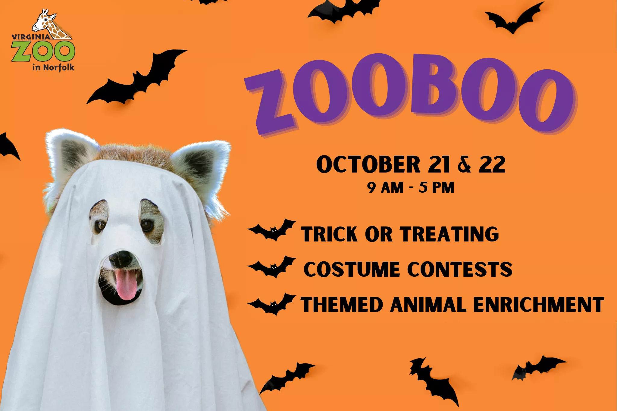 Virginia Zoo seeks vendors for Halloween events